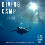 Endless Summer House (adults Only) 旅馆 阿德耶