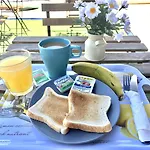 旅馆 Endless Summer House (adults Only) *