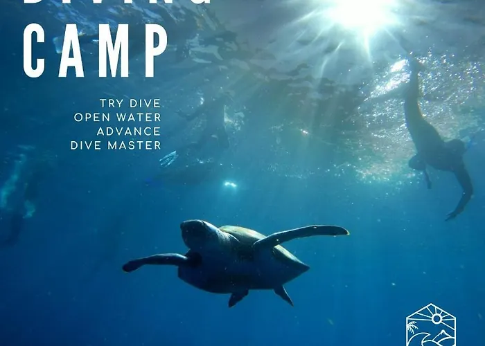 Endless Summer House (adults Only) Auberge de jeunesse Costa Adeje (Tenerife)